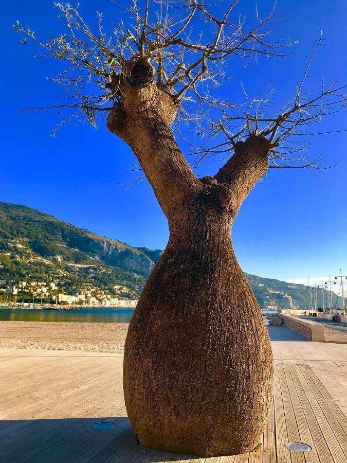 Longue 1 Menton Exterior foto